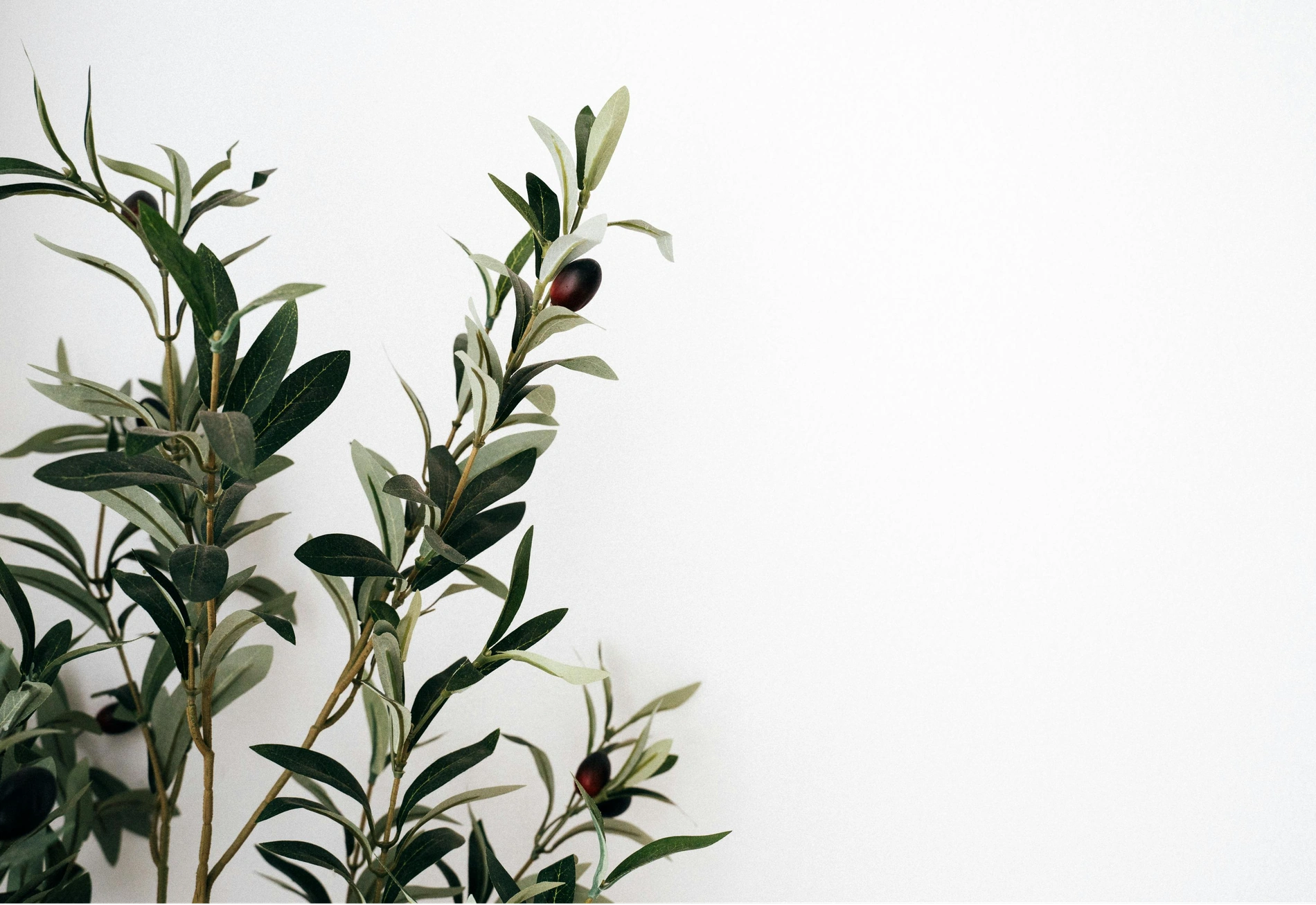 Grief and Loss Therapy